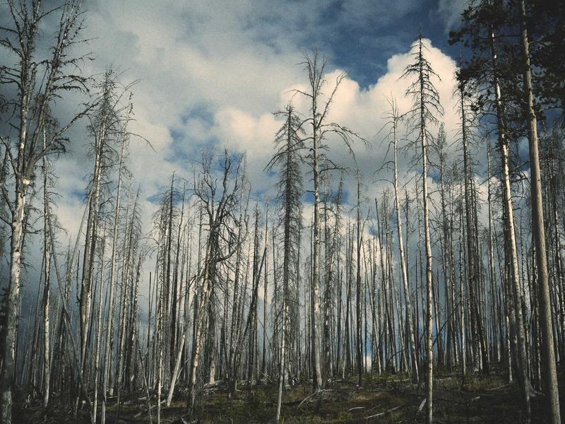剧能聊<br>影视剧资源与追剧搭子聚集地
